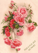 Fleurir l'amour de ma grand-m&egrave;re